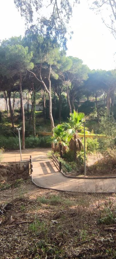 Beach Forest Paradise Marbellac Extérieur photo