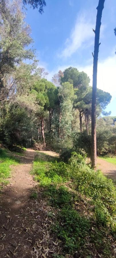 Beach Forest Paradise Marbellac Extérieur photo