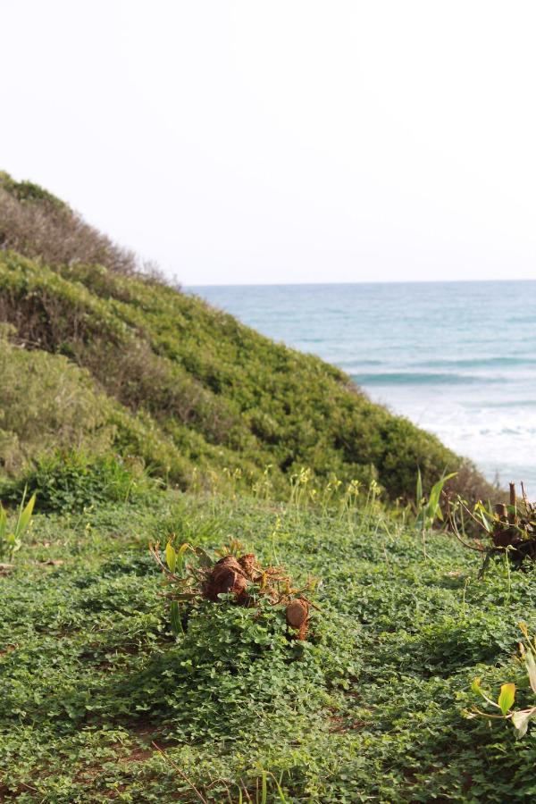 Beach Forest Paradise Marbellac Extérieur photo