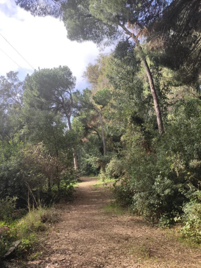 Beach Forest Paradise Marbellac Extérieur photo
